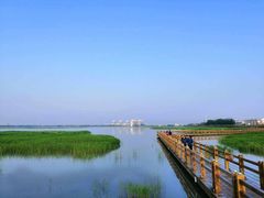 -南湖湿地公园