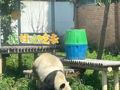 -苏州太湖国家湿地公园