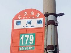 -蒲河大集
