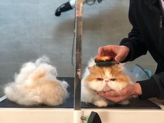-Double Rui宠物酒店