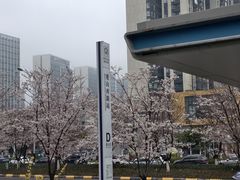 -地中海传奇水汇