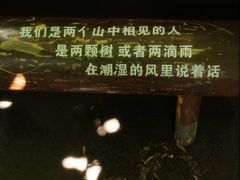 -橡皮书店(翠湖北路店)