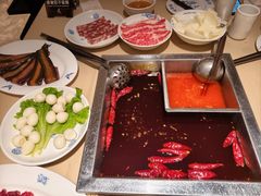 -龙森园火锅(琴台路店)