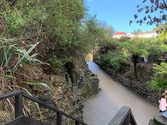 -怀托摩萤火虫洞