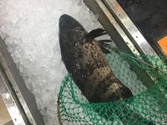 特价鱼-港澳德兴火锅海鲜酒家(殷皇子店)