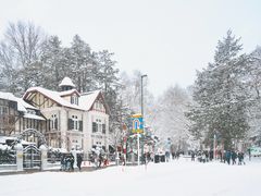 -北海道神宫