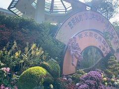 -杭州植物园