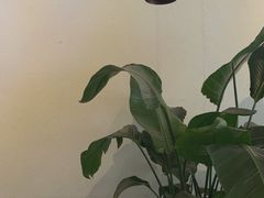 -MIMO CAFE(沙头角店)