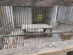 -福州动物园