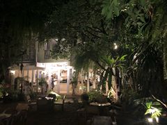 -Fern Forest Cafe
