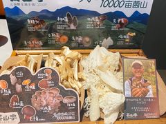 -芸山季·云南野生菌火锅(人民广场来福士店)