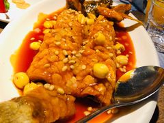 松子鱼-蝴蝶汇音乐酒馆(罗湖店)