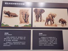 -大庆市博物馆