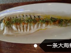 -艺术食堂(创意料理)