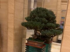 -华雅花园大酒店