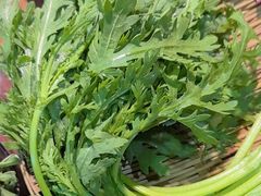 -楠火锅(哈尔滨金爵万象店)