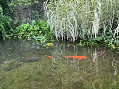 -千岛湖东南湖区