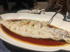 -金狮麟·新豫菜(金码大厦店)