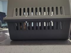 -纳吉亚猫专科动物诊疗中心(蒋宅口分院)
