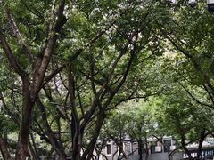 -喜洋洋(中山四路店)