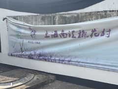 -南汇桃花村