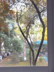 -南京医科大学友谊整形外科医院