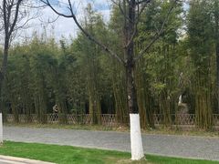 -武汉园博园(武汉自然博物馆)