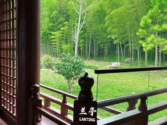-兰亭风景区