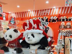 -熊猫邮局(少城店)