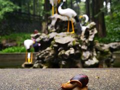 -莫干山风景区