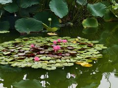 -国家植物园南园