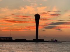 -上海吴淞炮台湾国家湿地公园