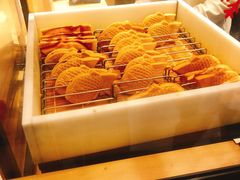 -粉粉乐鲷鱼烧(美罗城店)