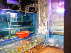 水产区-辉记炭烧海鲜大排档·老字号(福田店)
