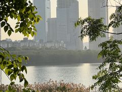 -华侨城湿地公园