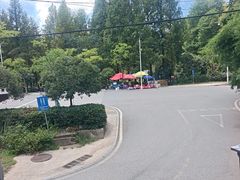 -青龙山国家森林公园