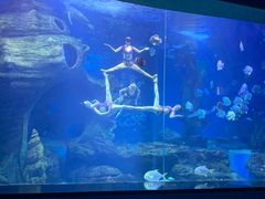 -多彩贵州城极地海洋世界