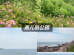 -燕儿岛山公园