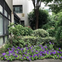-中国福利会国际和平妇幼保健院(徐汇院区)