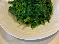 鸡油炒豆苗-利苑酒家(金宝店)