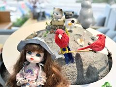 -尼康·佳能·大疆官方授权店·卓群数码总店