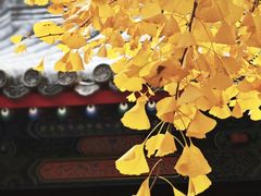 -承恩寺
