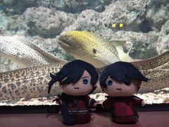 -福州罗源湾海洋世界旅游区