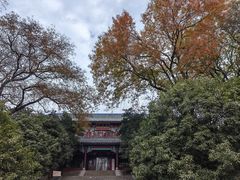-灵谷景区