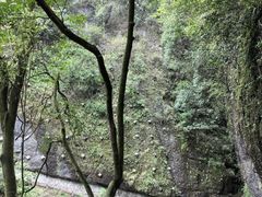 -青城山