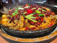 -老板恋上鱼(高新万达店)