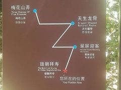 -千岛湖石林