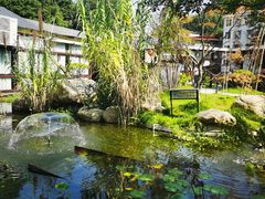 -湘力力小院·鱼汤泡饭(枫林路店)