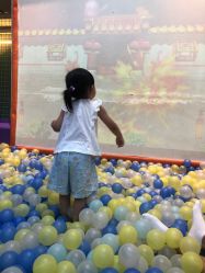 -哈尼兔儿童游戏乐园(沈阳大东龙之梦店)
