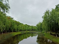 -上海鲜花港